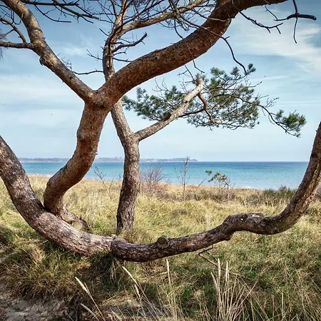 Bienenhaus * Sassnitz